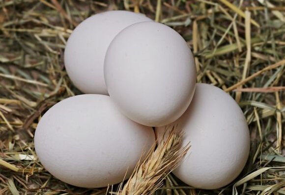 La dieta del huevo implica comer huevos de gallina a diario. 