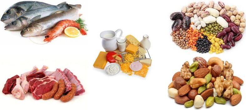 productos proteicos con una dieta proteica